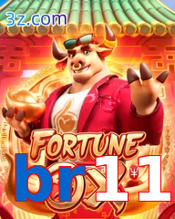 br11