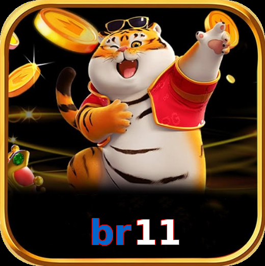 br11